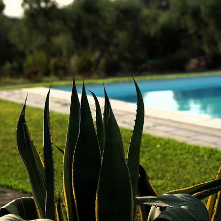 Accogliente Villa Con Piscina Caltagirone Exterior photo